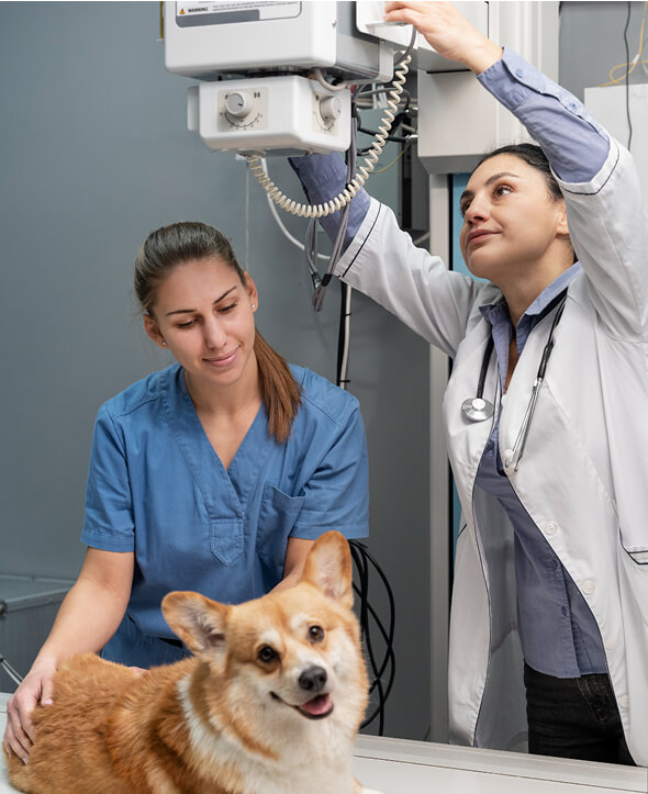 Ellátás folyamata a Vetty rendelőben